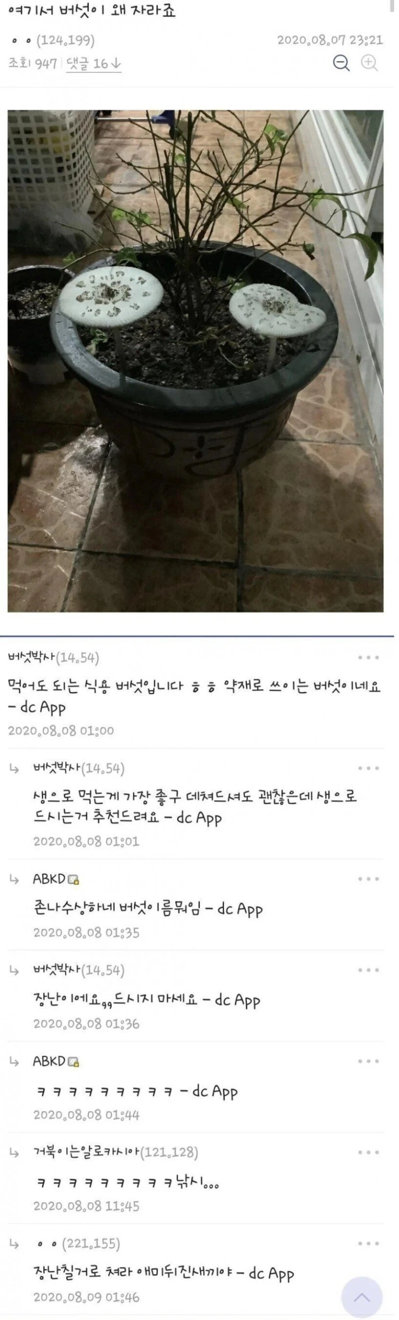 식물갤 유저가 패드립을 친 이유ㄷㄷ.jpg