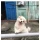 시골길 걷다가 마주치면 위험한것.JPG