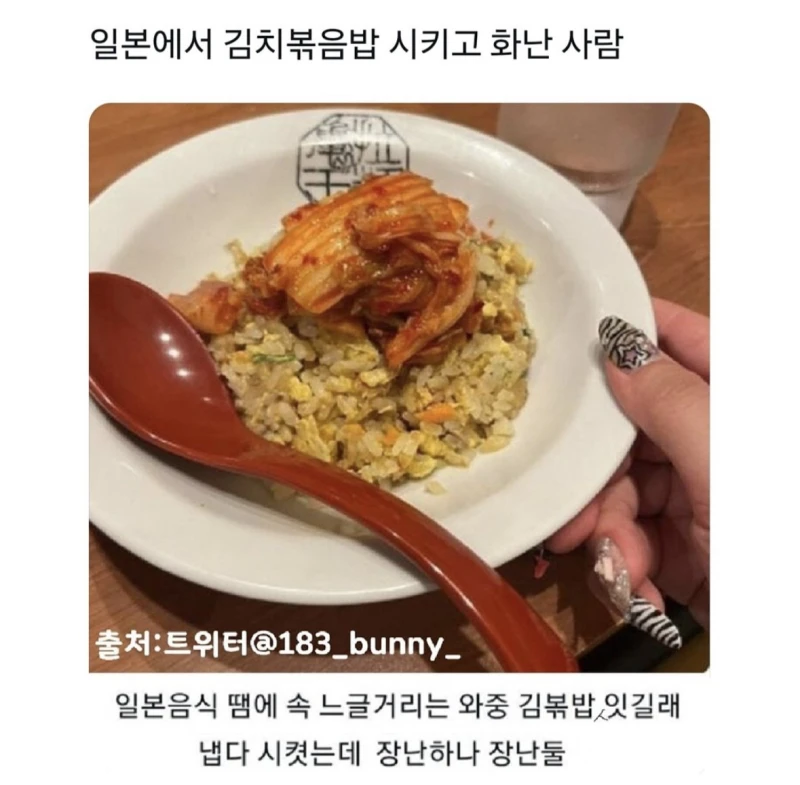 선넘은 일본 김치볶음밥