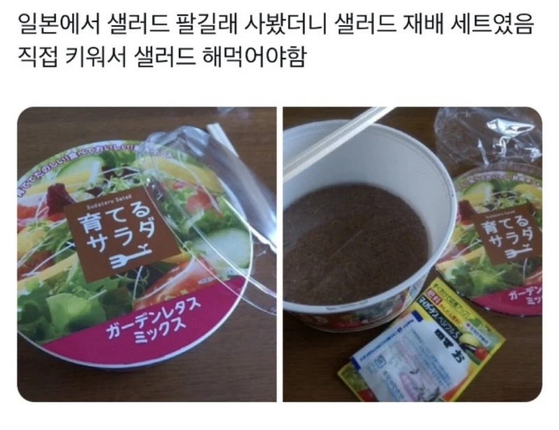 일본에서 파는 샐러드
