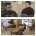 이태리 셰프가 말하는 한국 파스타.jpg