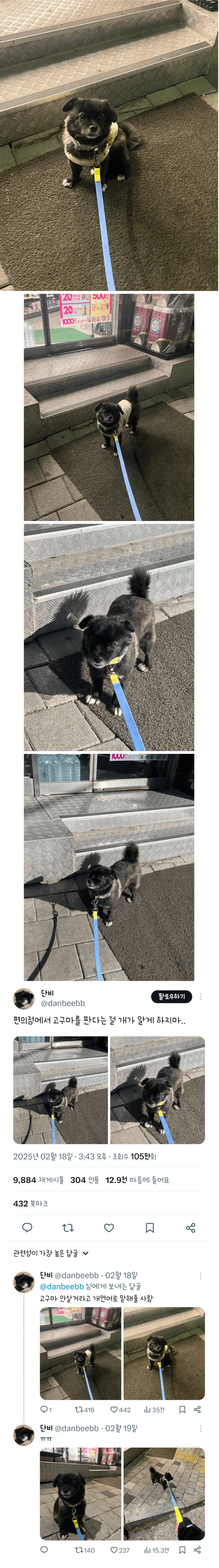 편의점에서 고구마를 판다는걸 알게된 댕댕이