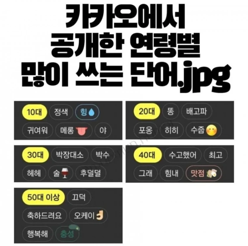 카카오에서 공개한 연령별 많이 쓰는 단어
