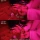 ㅇㅎ?) 커플들이 성인 용품점에서 많이 구매 한다는 제품.jpg