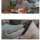 펜션 앞에서 발견된 아기 부엉이.jpg