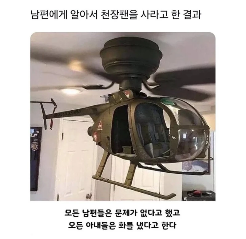 남편에게 알아서 천장팬을 사라고 시킨 결과