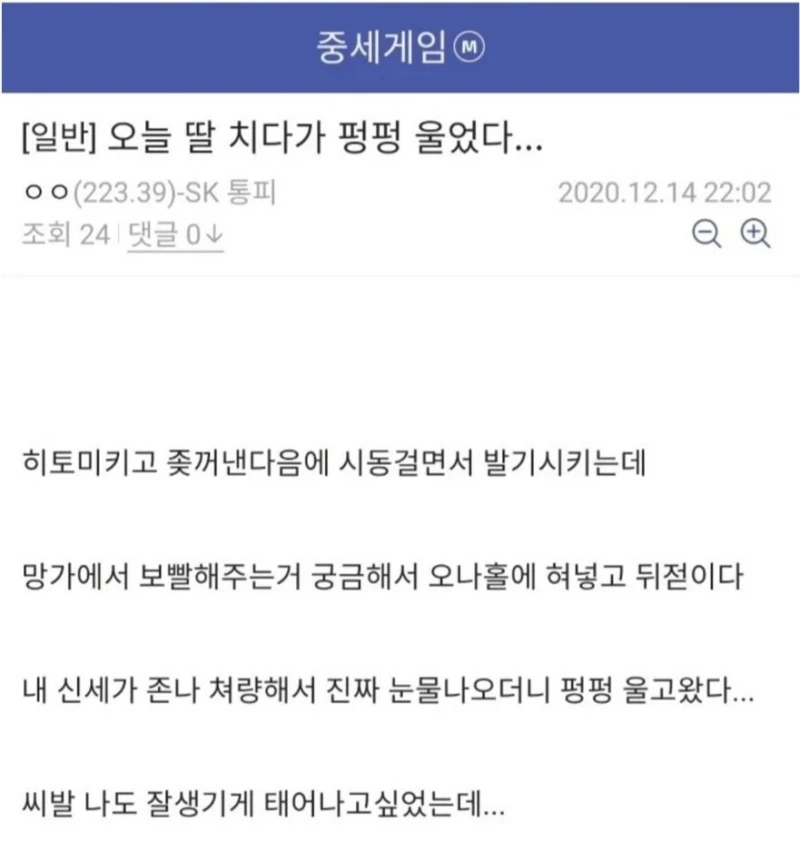 딸 치다 펑펑 울었다는 디시인.jpg