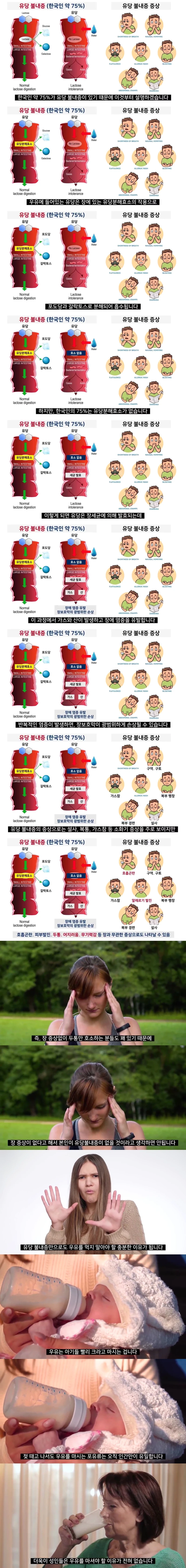 한국인에게 우유가 안맞는 이유.jpg