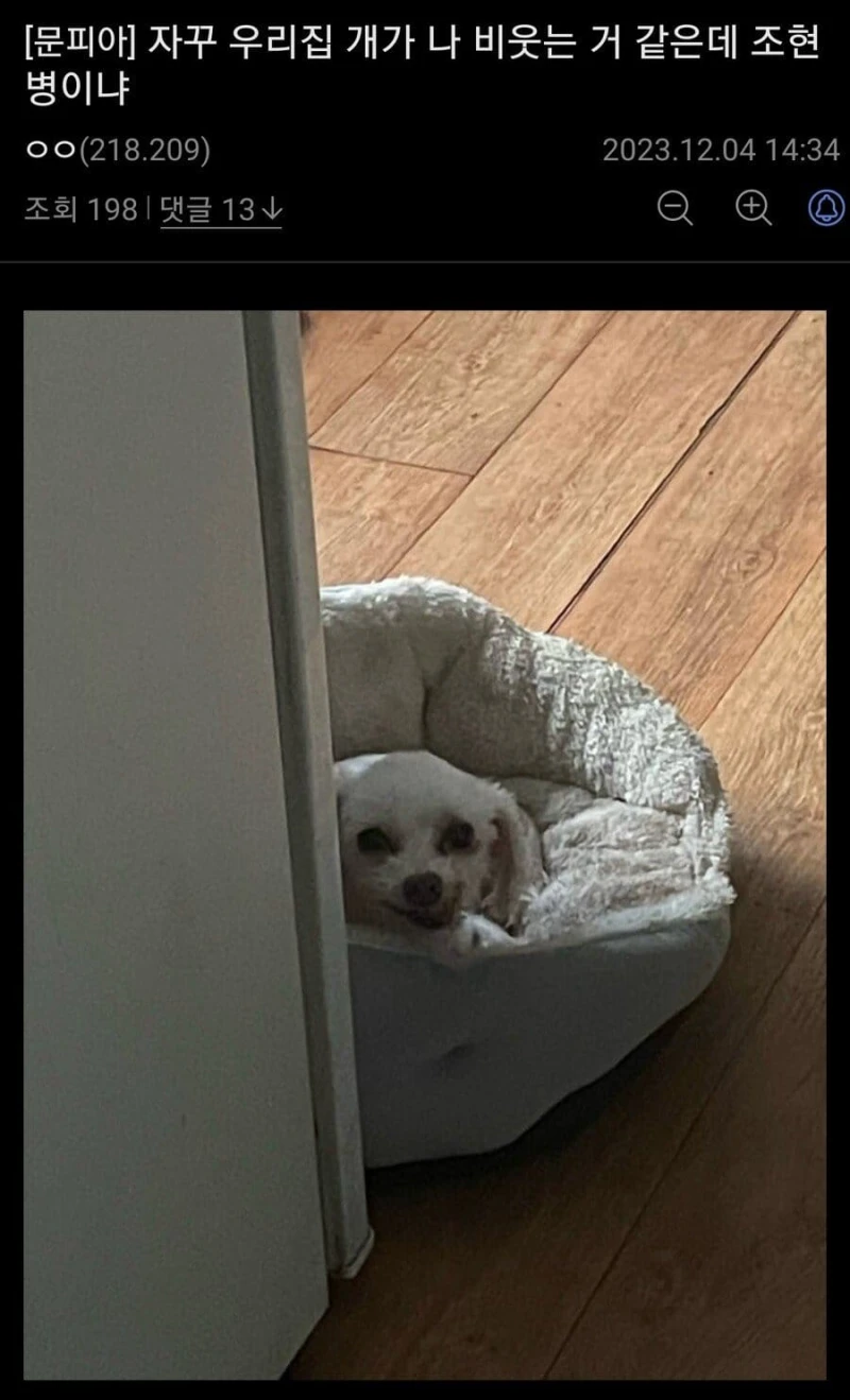 본인이 조현병이 아닌가 의심된다는 디시인 jpg