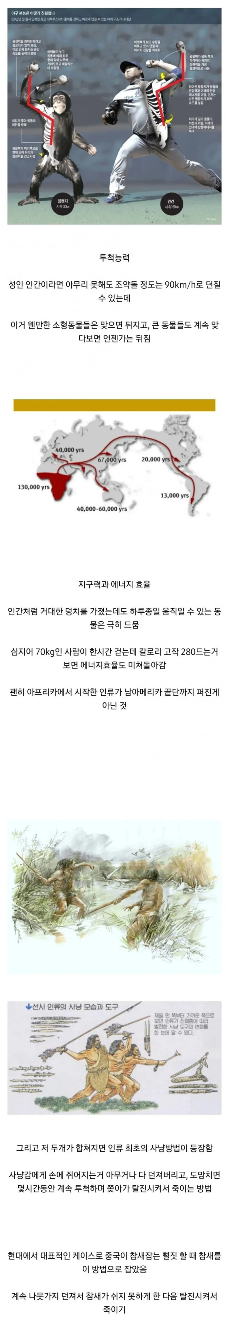 인간이 피지컬로 동물을 압살하는 분야.jpg