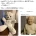 내 30년 친구인 곰인형을 사람으로 바꿔줘.JPG