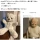 내 30년 친구인 곰인형을 사람으로 바꿔줘.JPG