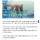 시체 처리장이 된 방글라데시 해안