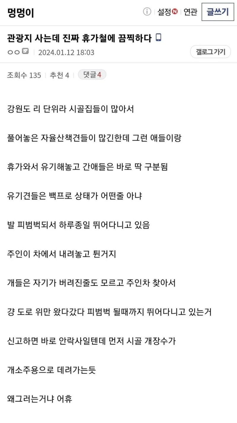관광지 근처사는 사람이 휴가철만 되면 보는 끔찍한 광경
