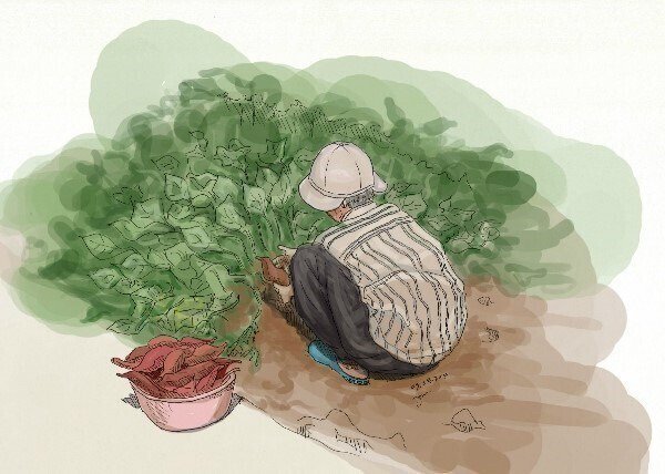 어느 78세 노모의 유서.jpg