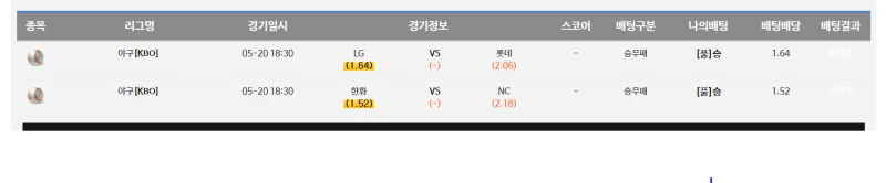 국야 베팅 내역