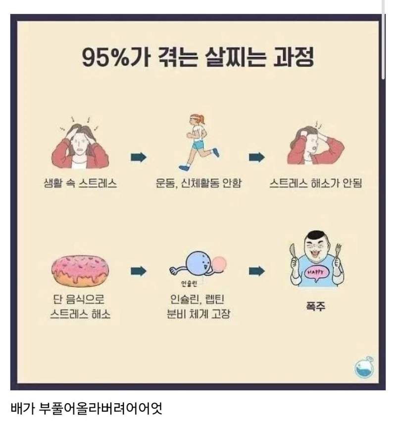 95%가 겪는다는 비만루틴