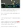디시인 고소회피 레전드.jpg