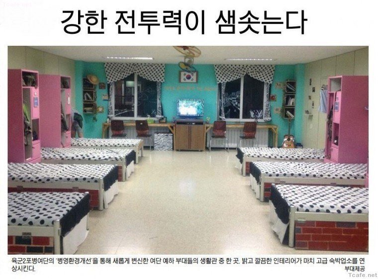 강한 전투력이 샘솟는다