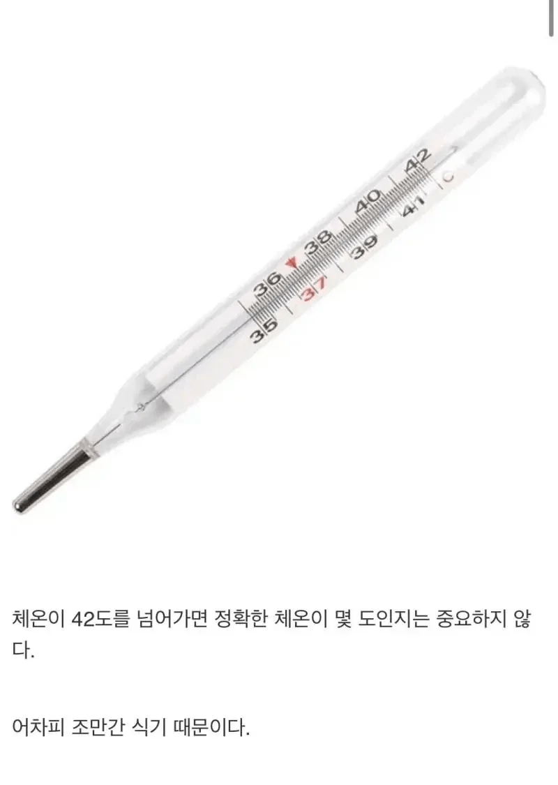 체온계가 42도까지밖에 못재는 이유.jpg