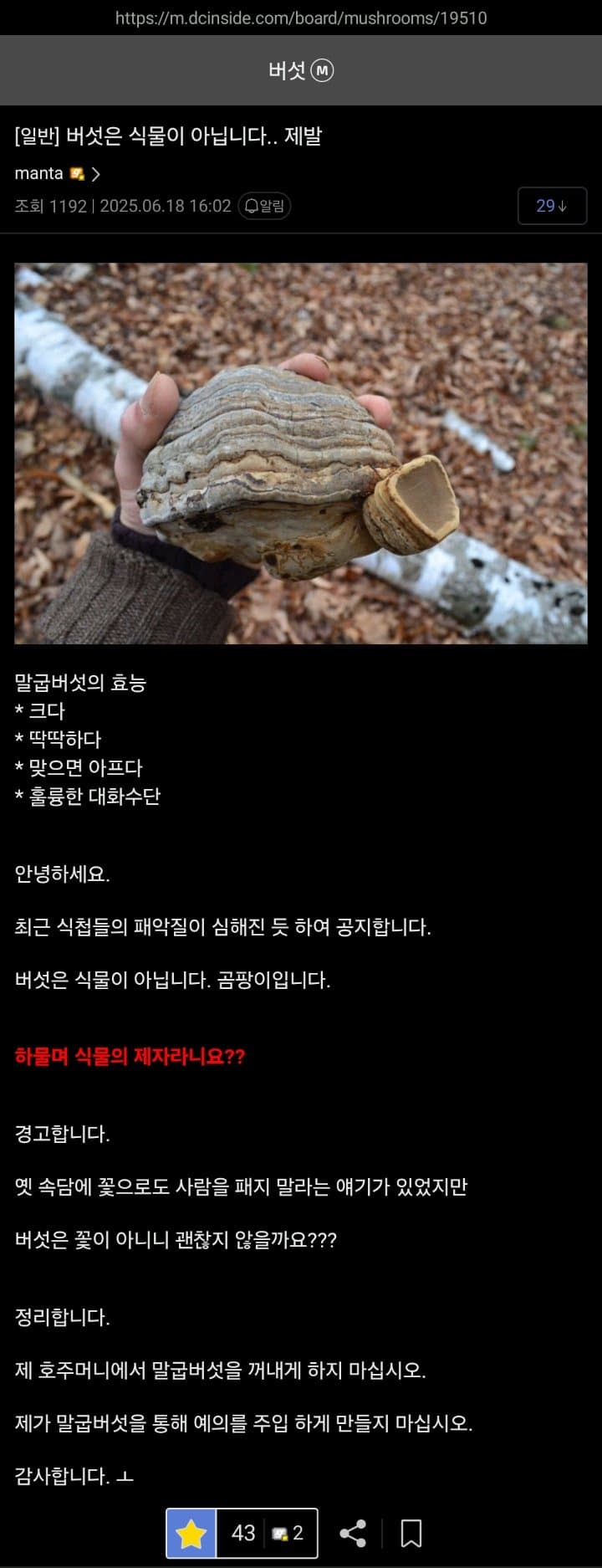 음해에 화난 버섯갤 완장