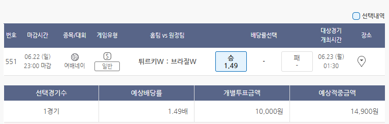 여자 배구