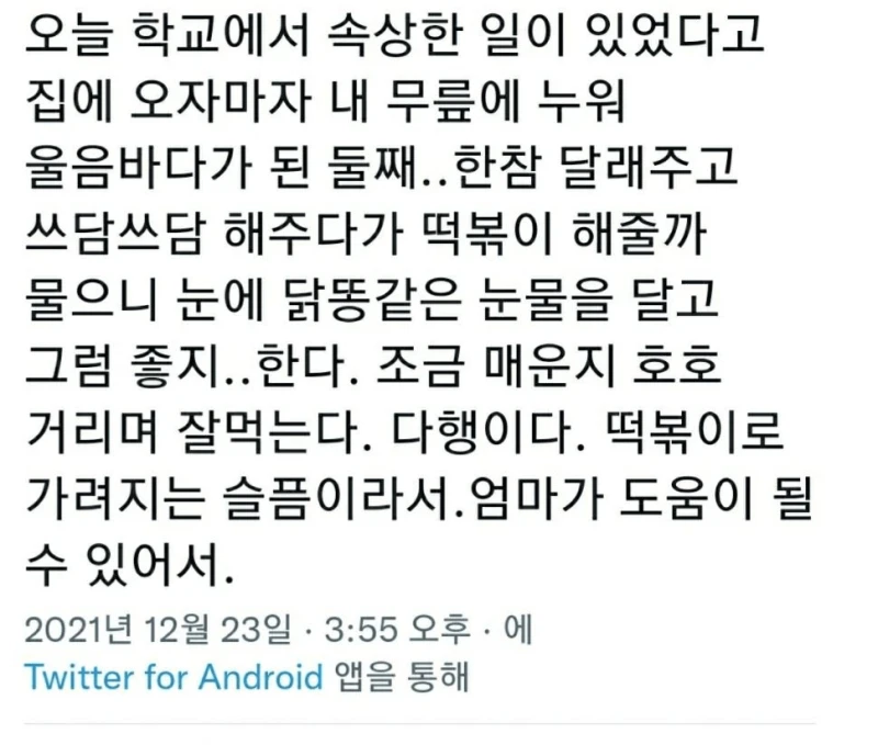 다행이다, 떡볶이로 가려지는 슬픔이라서.jpg-2