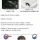 우리가 고마워 해야하는 모기