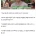 시미켄도 인정한 아스카 키라라의 스킬