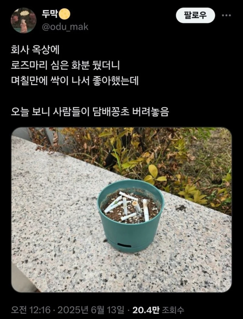회사 옥상에 화분 뒀더니 생긴 일.jpg