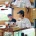 [깡촌캉스] J협회에서 연락올까봐 걱정하는 P들의 여행