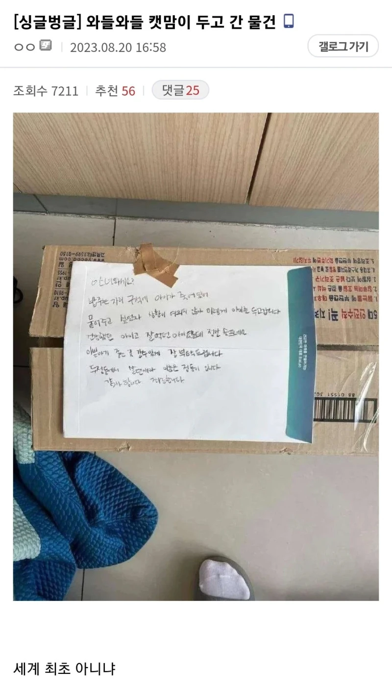 어질어질 캣맘이 집 앞에 두고 간 물건 .jpg