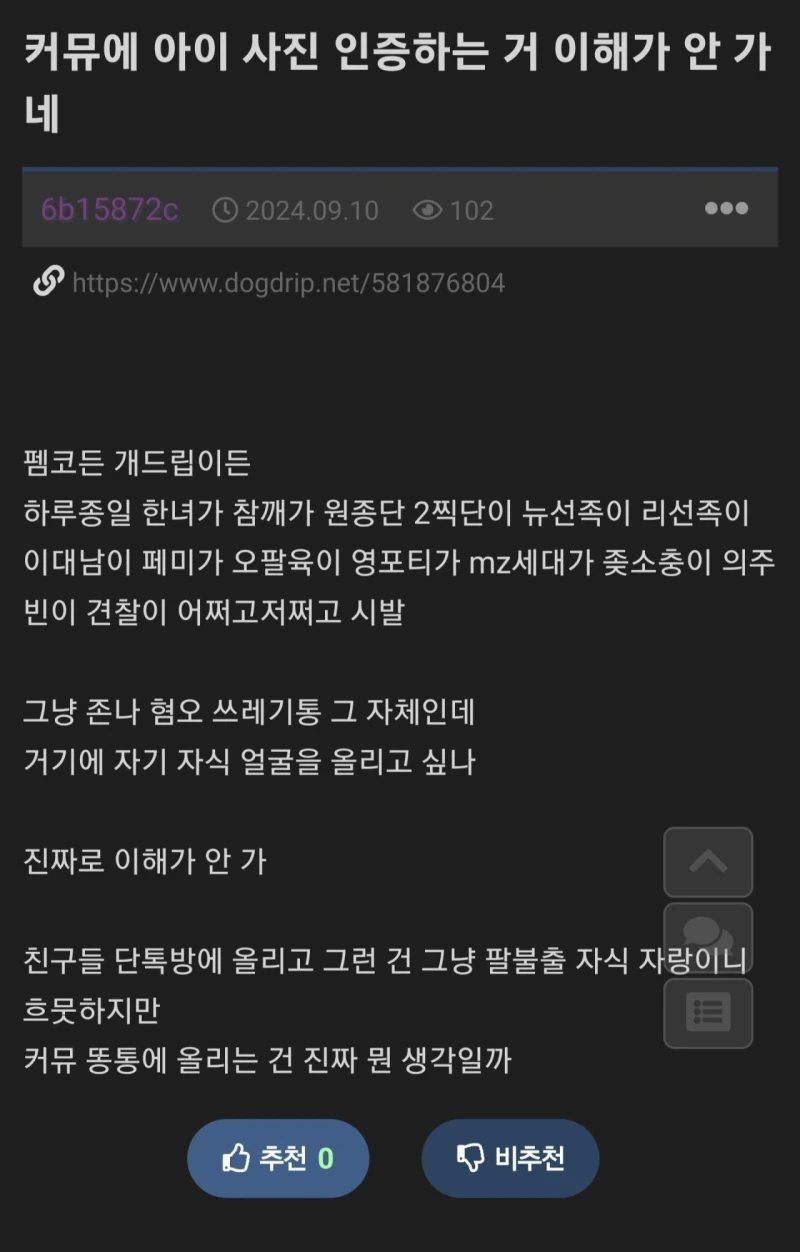 커뮤에 아이 사진 올리는 사람들이 이해가 안간다...jpg