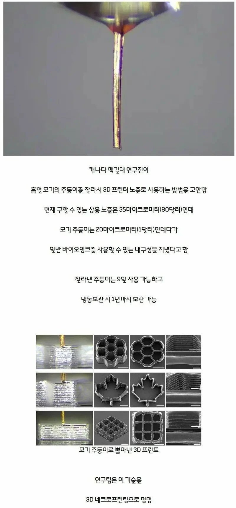 드디어 쓸모가 생긴 ㅈ기 근황