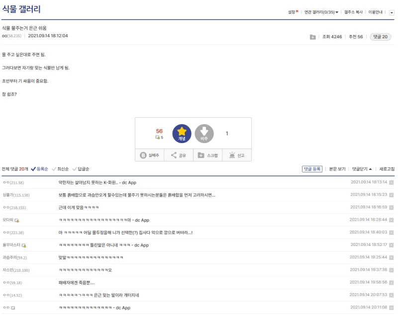 은근히 쉽다는 식물 키우는법
