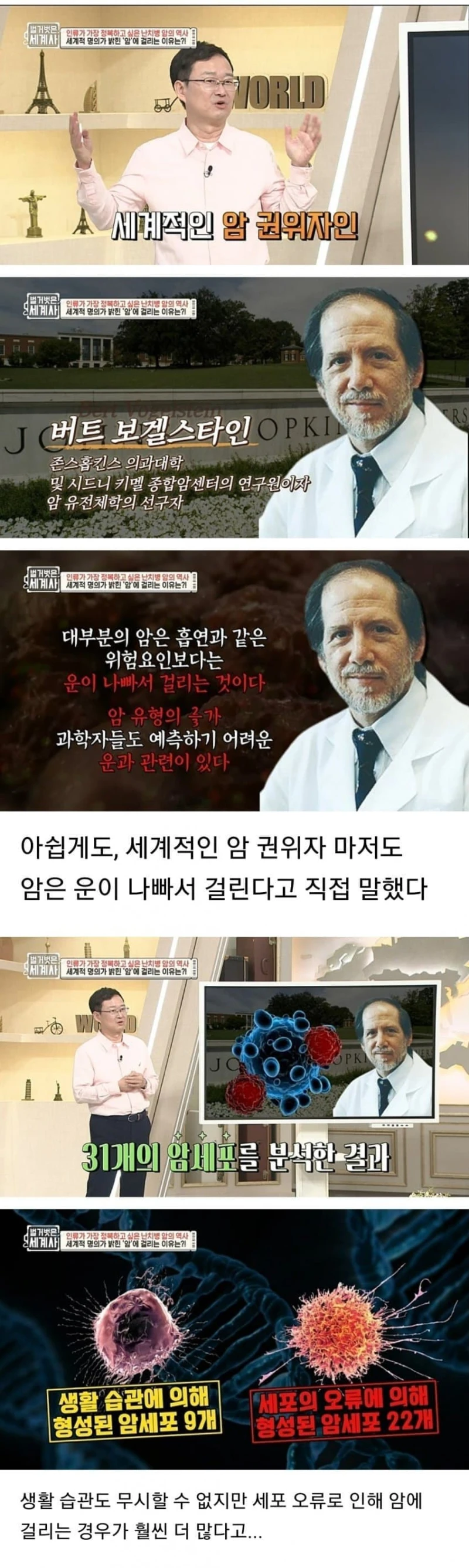 암 전문가가 말하는 암에 걸리는 원인.jpg-2