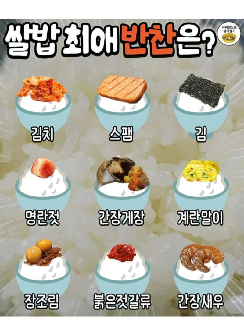 쌀밥 최애 반찬은?