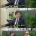 전세계적으로 봤을 때 한국인들이 진짜 좀 이상함;; .jpg