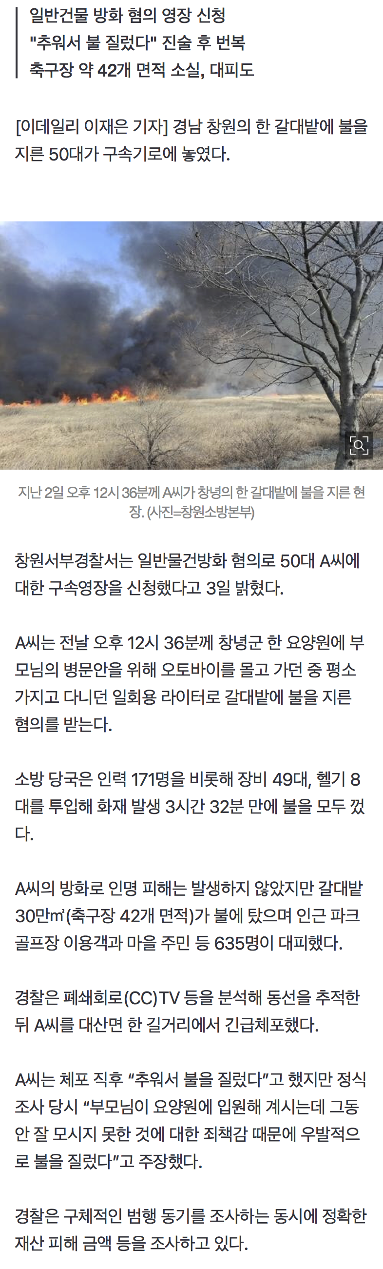 “부모님 못 모셔 죄책감”…갈대밭에 불 지른 50대 구속영장