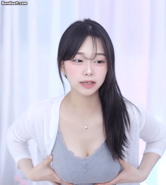스트리머 여캠들의 슴모찌-2