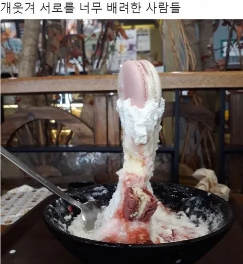 서로를 너무 배려한 사람들