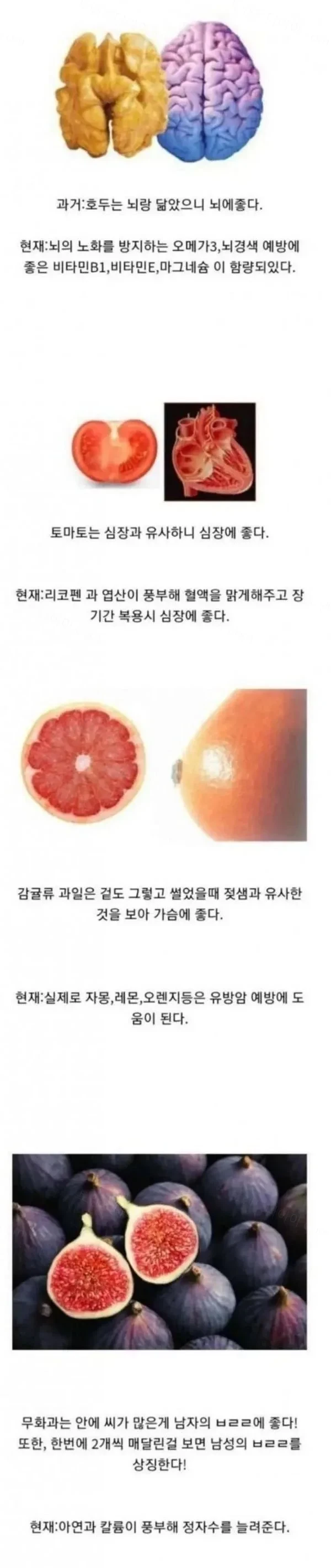 신체부위를 닮아 몸에 더 좋은 음식