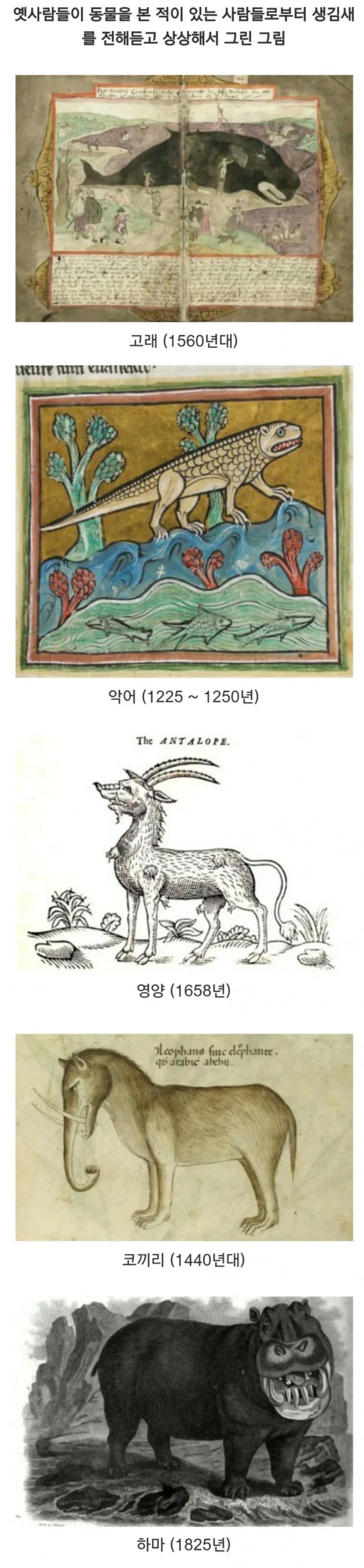 예전 사람들의 동물 상상화