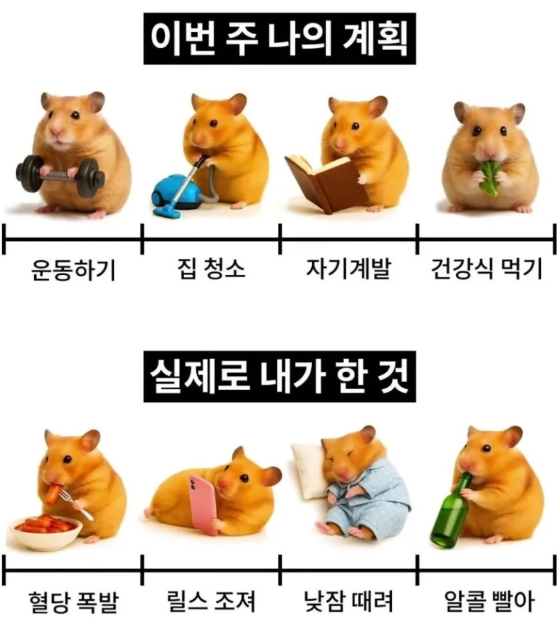 이상과 현실의 주말 차이