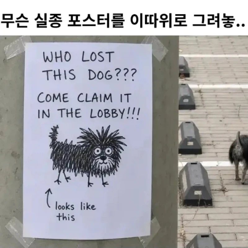 무슨 실종 포스터를 이따구로 그려놓....