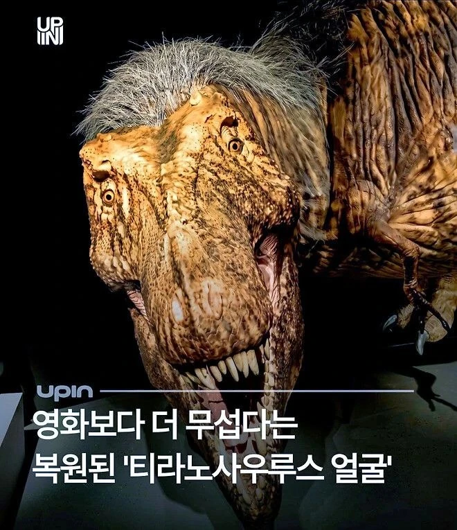 원래 무서운놈~~!!