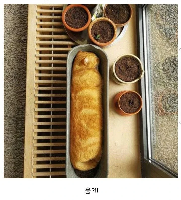 바게트빵
