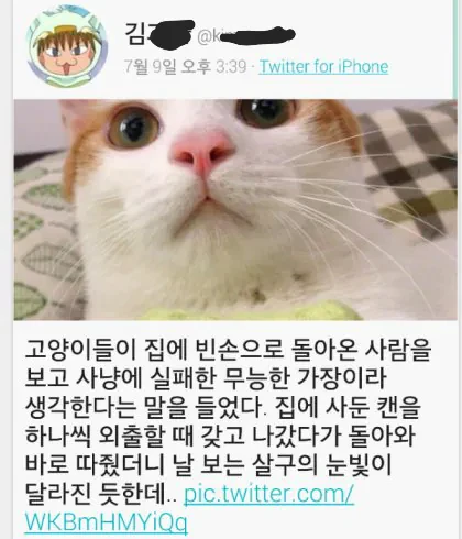 고양이 말 잘 듣게 하는법