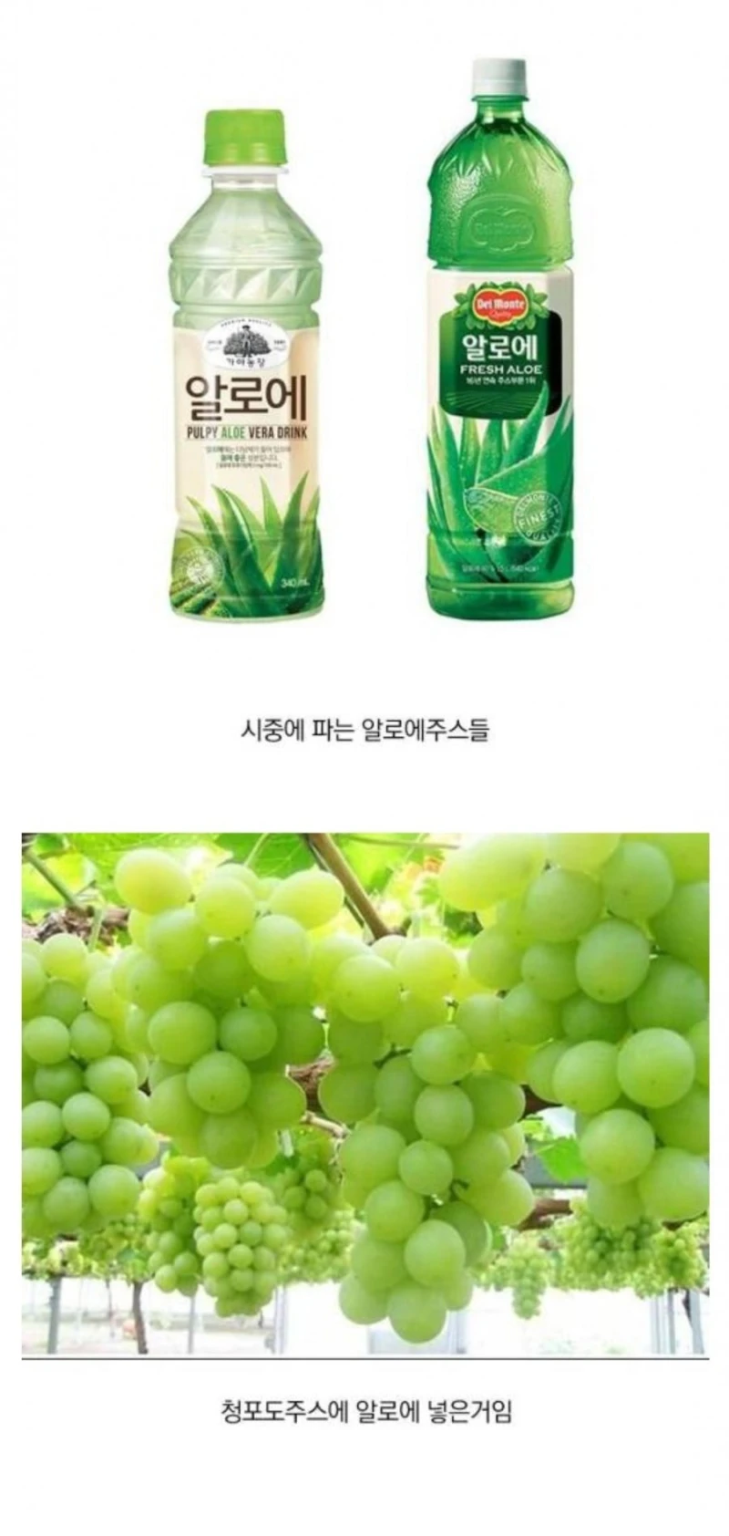 대부분 모르는 알로에 주스 비밀