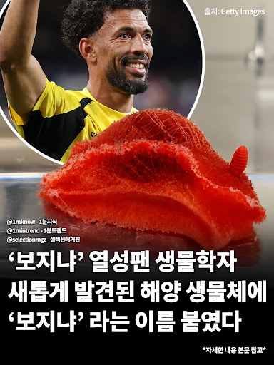 보지냐의 팬이된 해양 생물학자